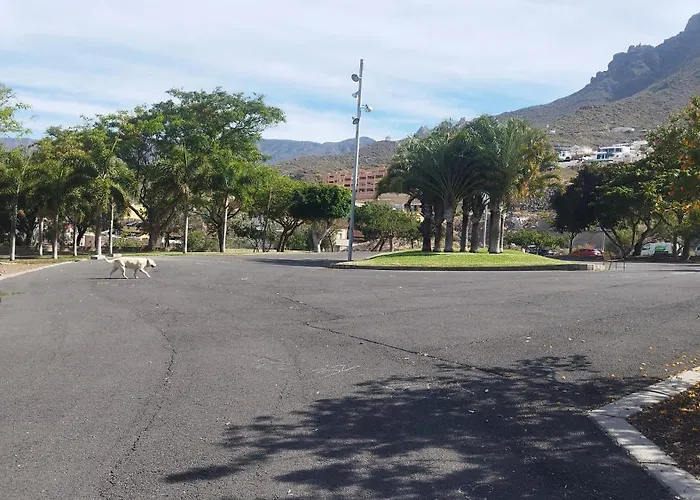 Magic Tenerife אדחה